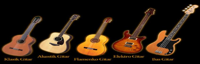 Gitarlar